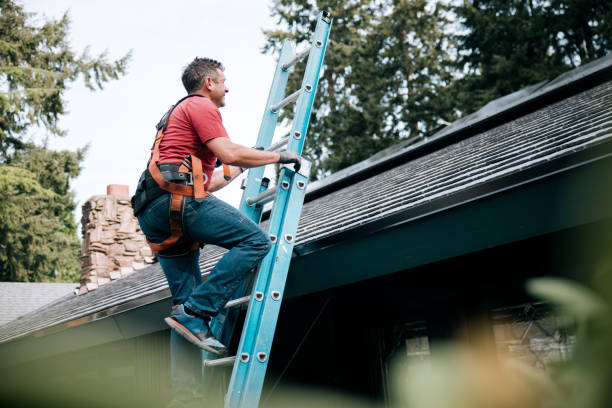 Best Roof Maintenance and Cleaning  in Kempner, TX