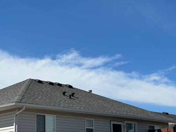 Best Roof Ventilation Installation  in Kempner, TX